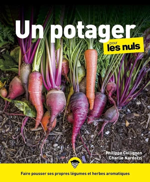 Un potager pour les nuls ([Nouv. éd.]) Philippe Collignon, Charlie Nardozzi