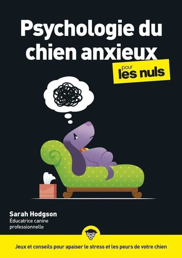Psychologie du chien anxieux pour les nuls