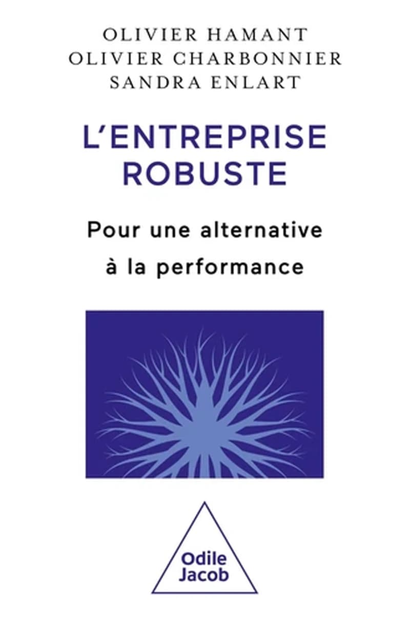 L'entreprise robuste : Pour une alternative à la performance