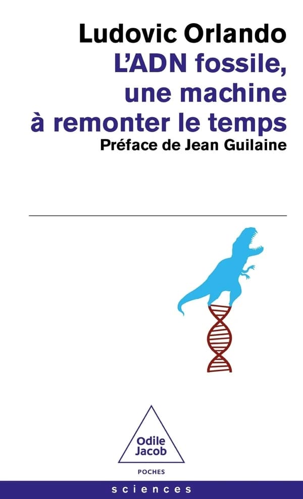L'ADN fossile, une machine à remonter le temps : les tests ADN en archéologie