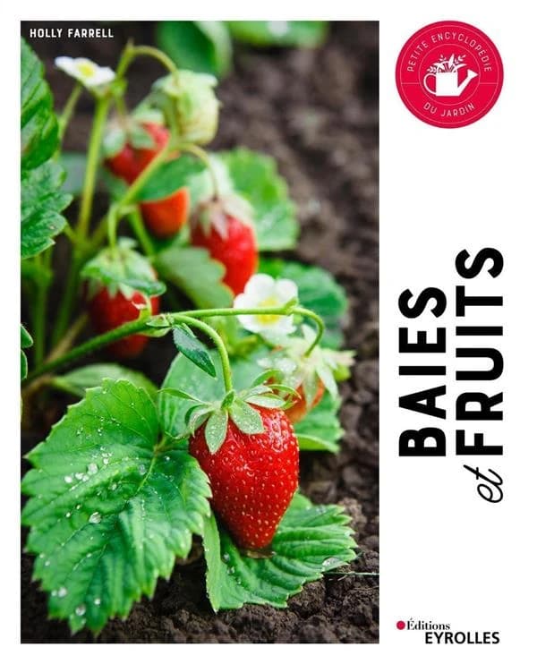 Baies et fruits