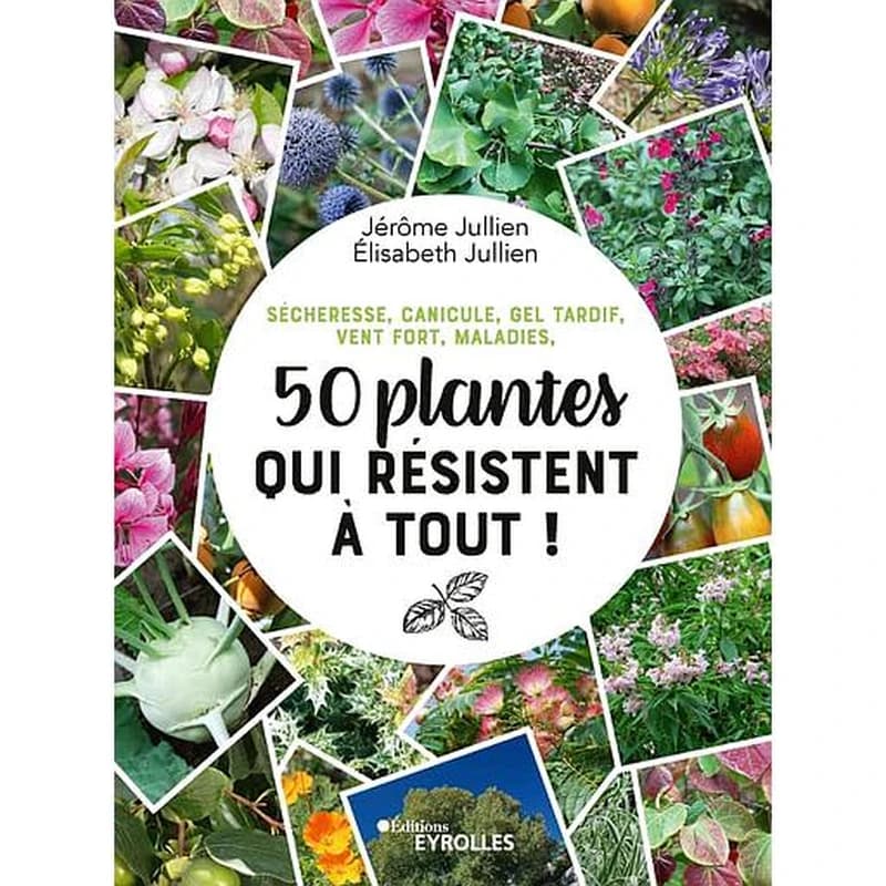 50 plantes qui résistent à tout ! : sécheresse, canicule, gel tardif, vent fort, maladies