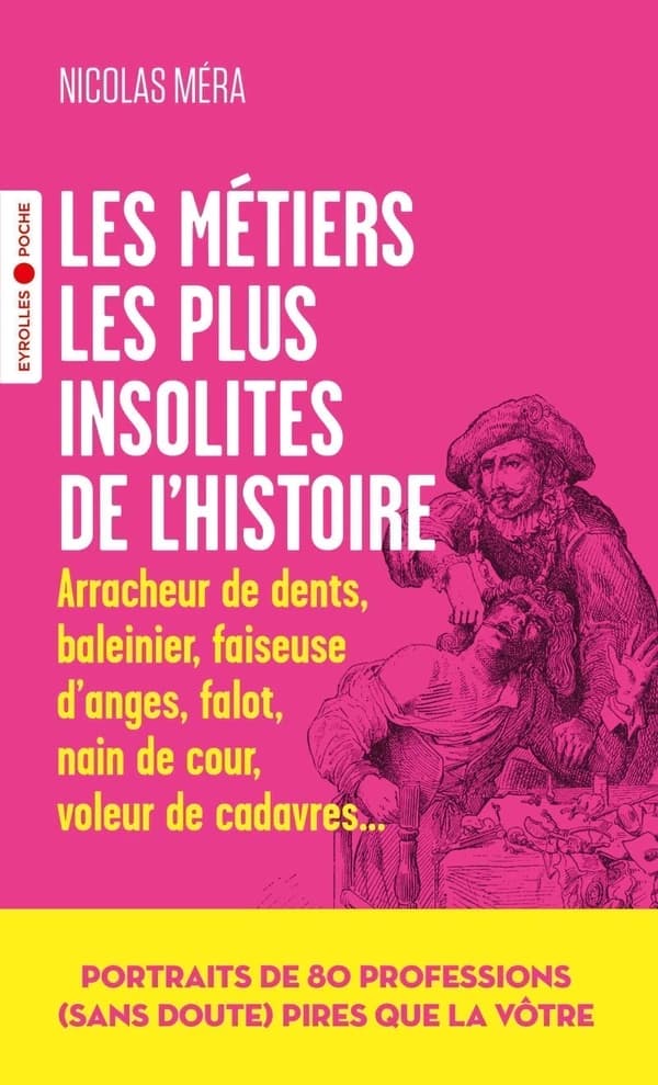 Les métiers les plus insolites de l'histoire ([Nouvelle] éd. enrichie et mise à jour) Nicolas Méra