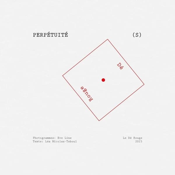 Perpétuité(s)