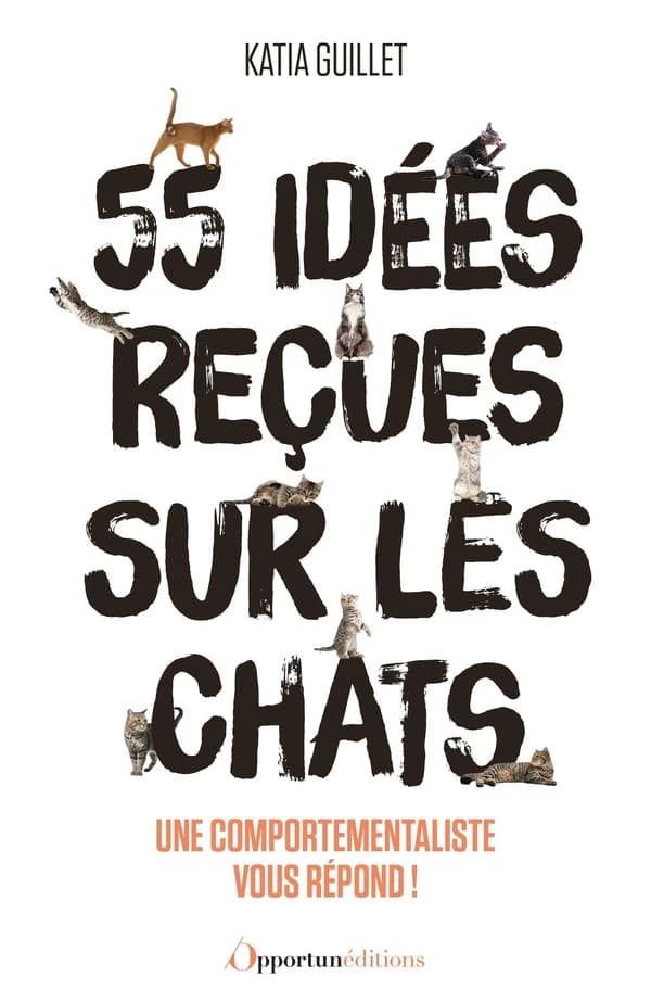 55 idées reçues sur les chats