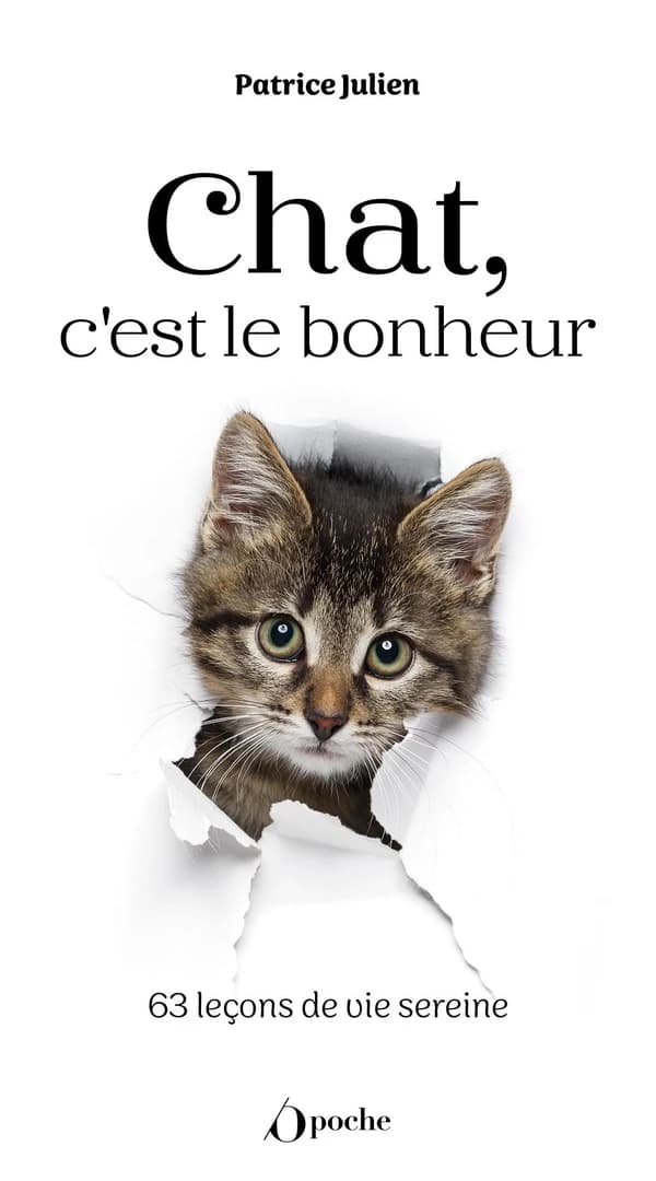 Chat, c'est le bonheur !