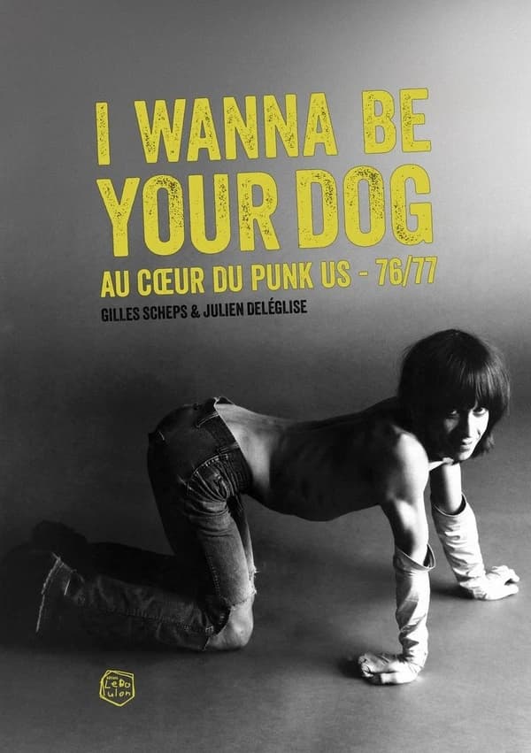 "I wanna be your dog" : au coeur du punk US, 76-77
