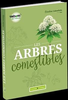 Les arbres comestibles : les identifier et les cuisiner