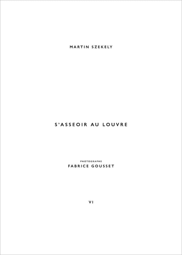 Martin Szekely. VI, S'asseoir au Louvre