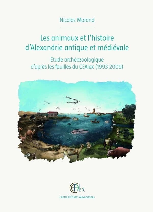 Les animaux et l'histoire d'Alexandrie antique et médiévale : Étude archéozoologique d'après les fouilles du CEAlex (1993-2009)