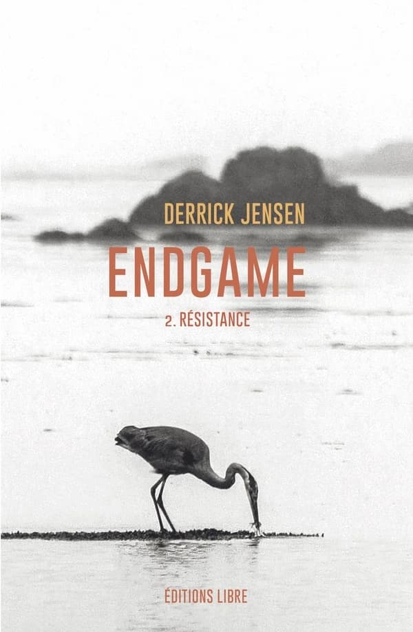 Endgame T02 : Résistance (t. 2)