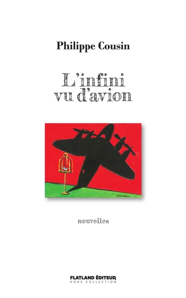 L'infini vu d'avion