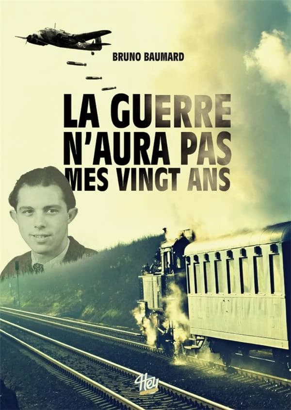 La guerre n'aura pas mes vingt ans : roman inspiré librement de faits réels
