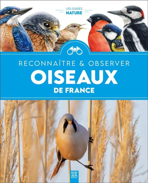 Oiseaux de France : reconnaître & observer