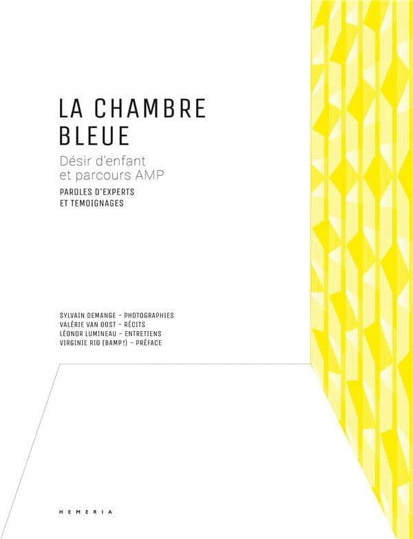 La Chambre bleue : Désir d’enfant et parcours AMP - Paroles d'expert et témoignages