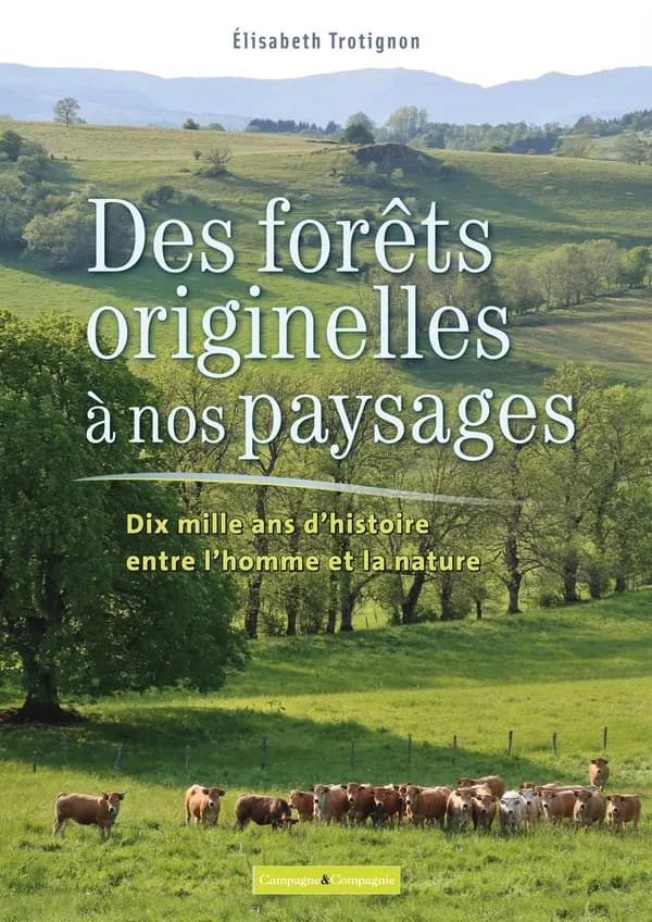 Des forêts originelles à nos paysages : 10000 ans d'histoire entre l'homme et la nature