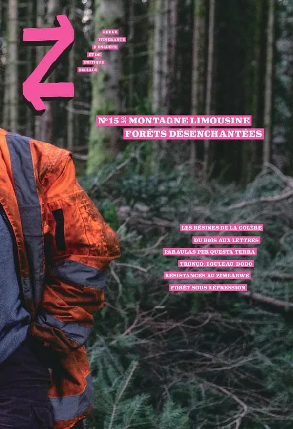 Montagne limousine : Forêts désenchantées