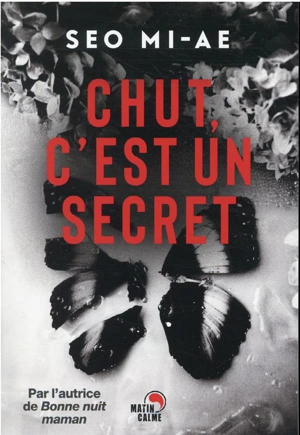 Chut, c'est un secret (2)