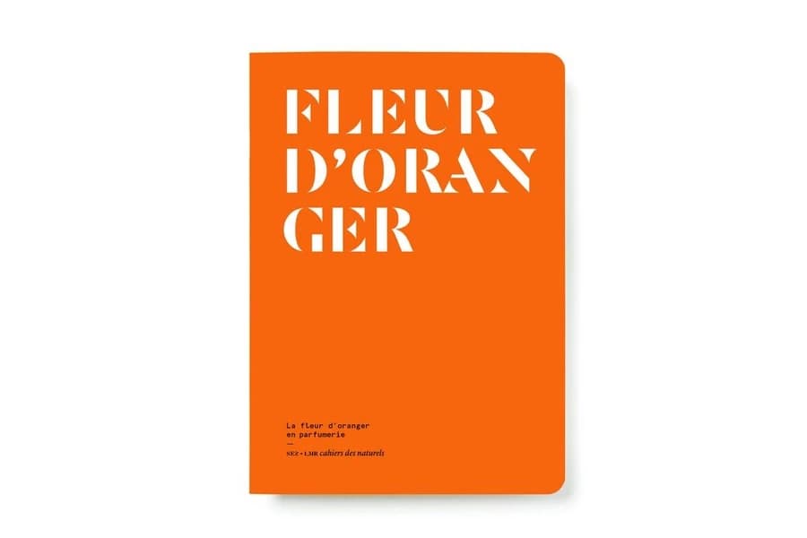 Fleur d'oranger : la fleur d'oranger en parfumerie
