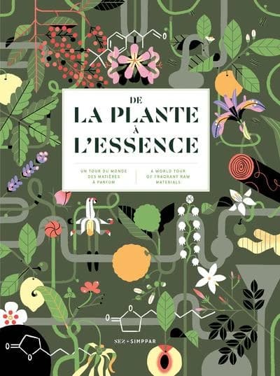 De la plante à l'essence : un tour du monde des matières à parfum