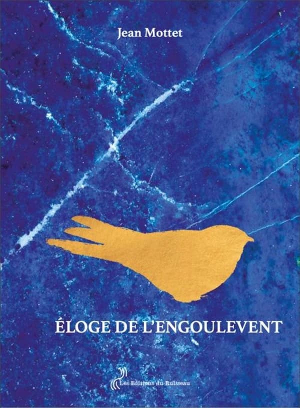 Éloge de l'engoulevent : un hymne au vivant