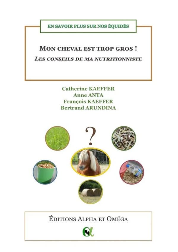 Mon cheval est trop gros : les conseils de ma nutritionniste