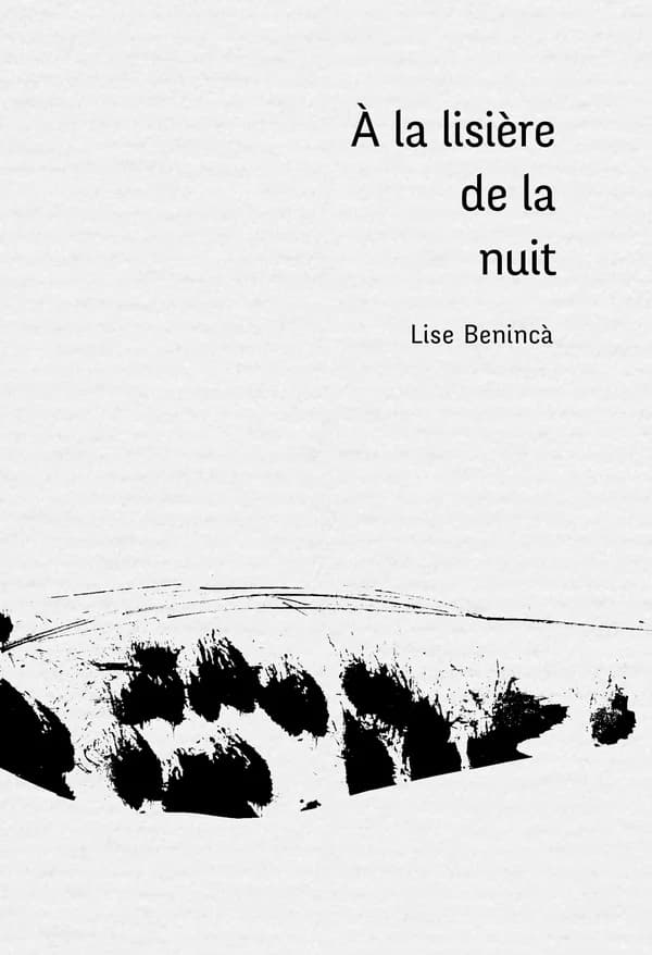 À la lisière de la nuit : petites excursions en pays d'insomnie