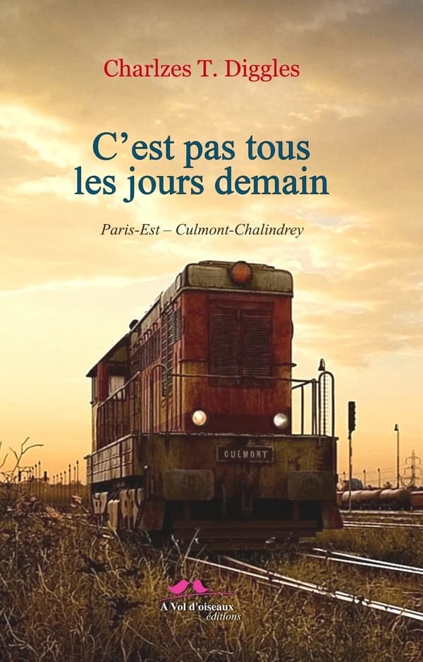 C'est pas tous les jours demain : aller-simple...