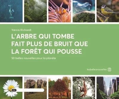 L'arbre qui tombe fait plus de bruit que la forêt qui pousse : Environnement