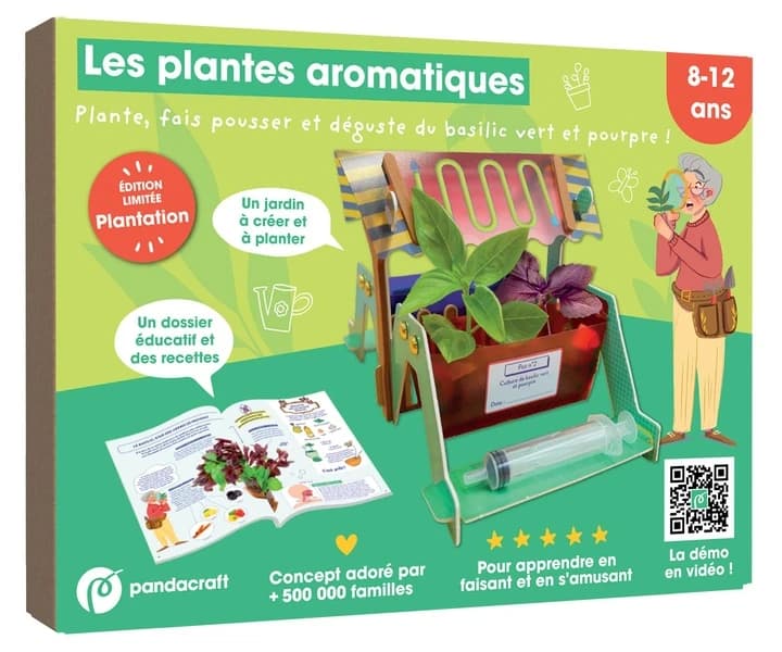 Les plantes aromatiques : Plante, fais pousser et déguste du basilic vert et pourpre !