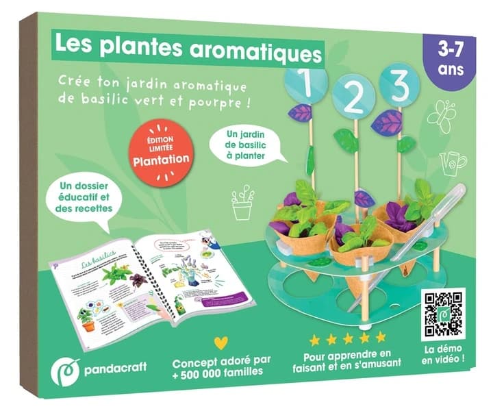 Les plantes aromatiques : Crée ton jardin aromatique de basilic vert et pourpre !