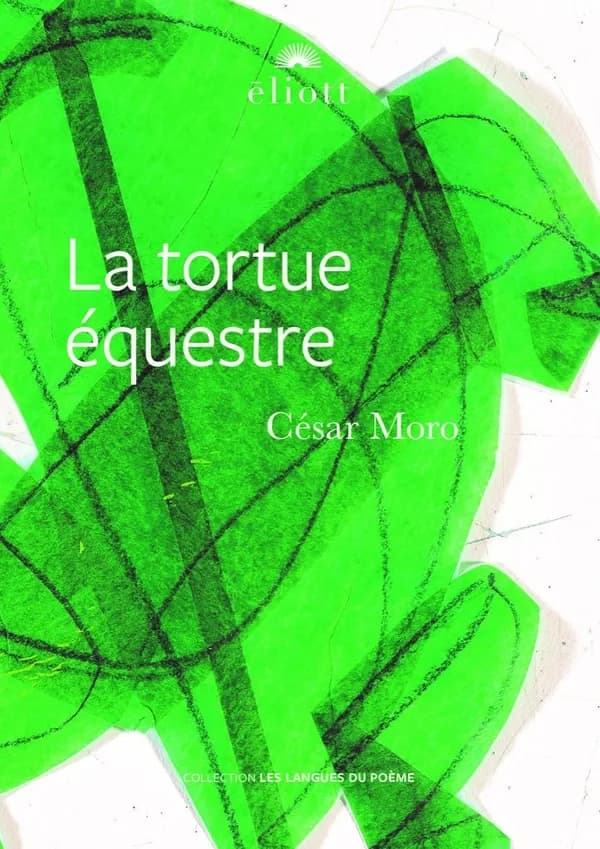 La tortue équestre et autres textes