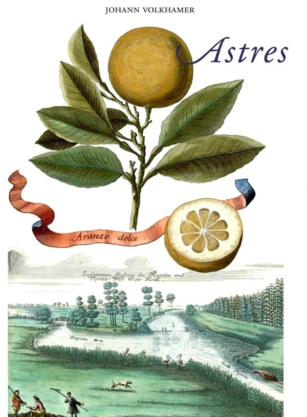 Astres : [portfolio de reproductions]