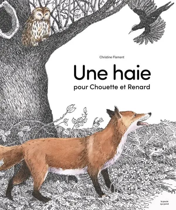 Une haie pour Chouette et Renard