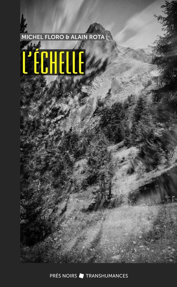 L'échelle : roman
