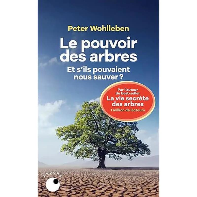 Le pouvoir des arbres : et s'ils pouvaient nous sauver ?