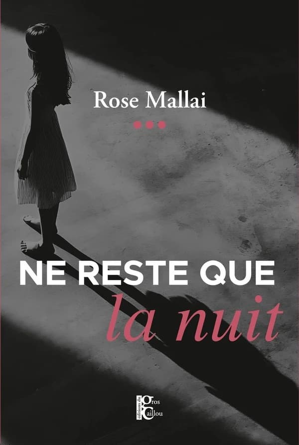 Ne reste que la nuit : roman