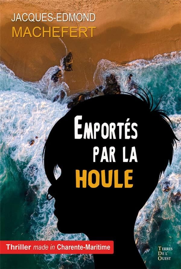 Emportés par la houle : roman