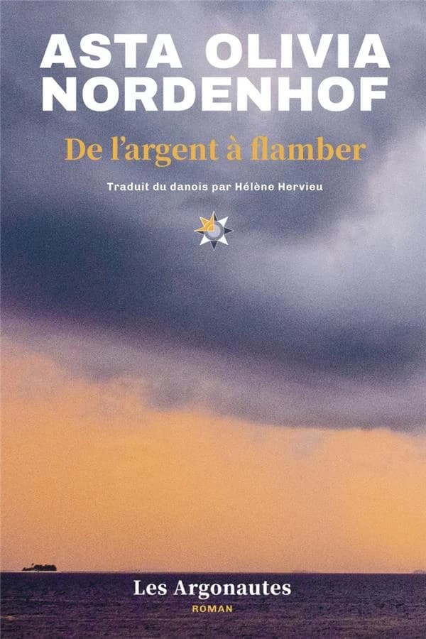 De l'argent à flamber : roman