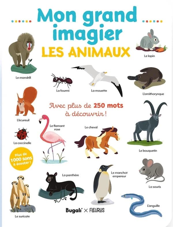 Mon grand imagier : les animaux : avec plus de 250 mots à découvrir !