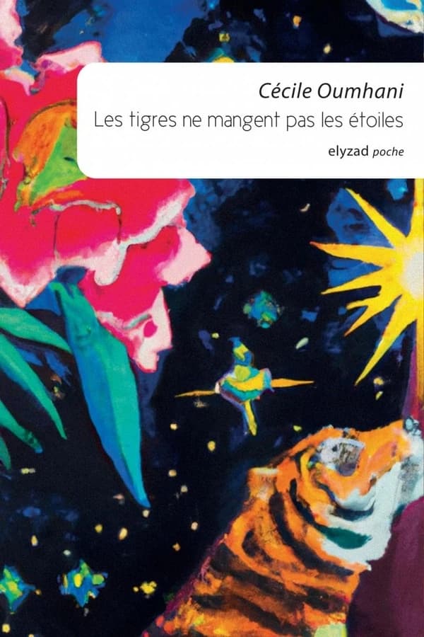 Les tigres ne mangent pas les étoiles
