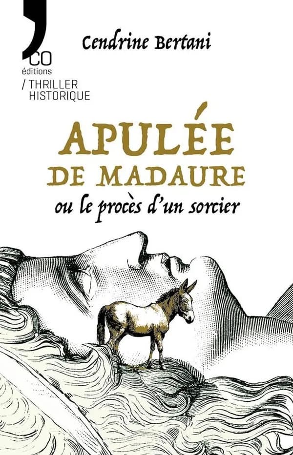 Apulée de Madaure ou Le procès d'un sorcier : Roman
