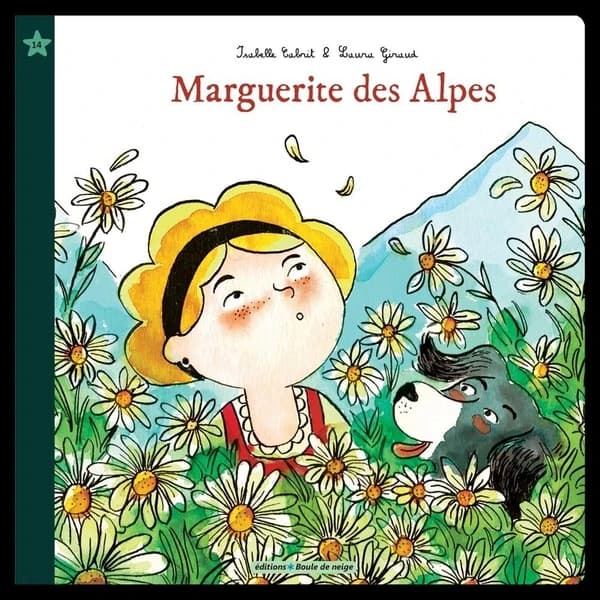 Marguerite des Alpes