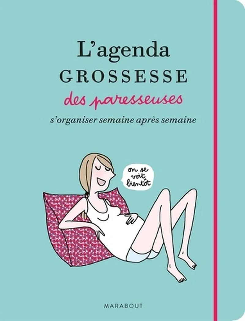 L'agenda de grossesse des paresseuses ; s'organiser semaine après semaine
