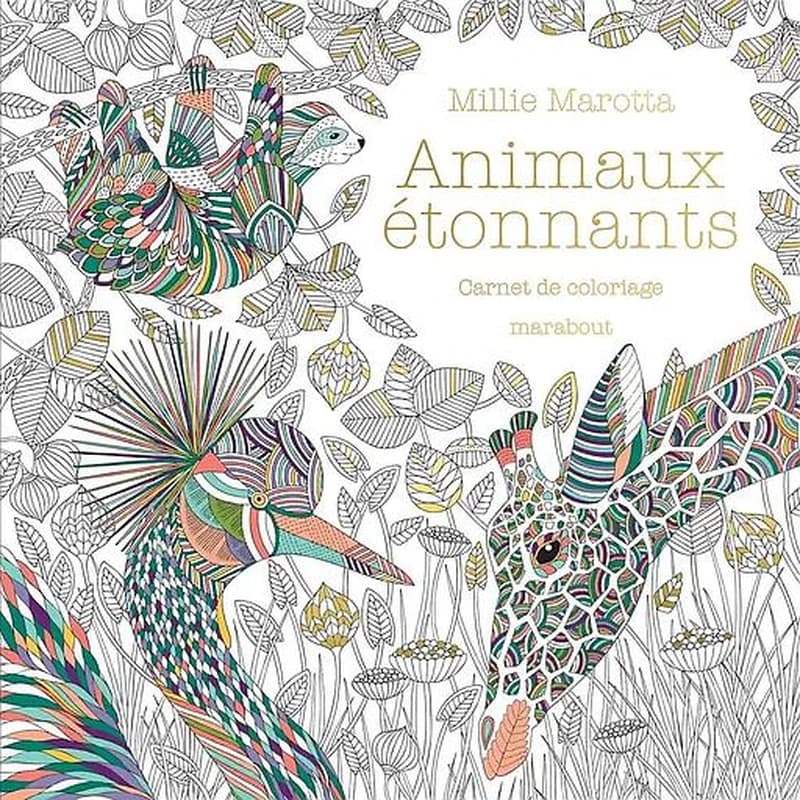 Animaux étonnants : carnet de coloriage : [Album à colorier]