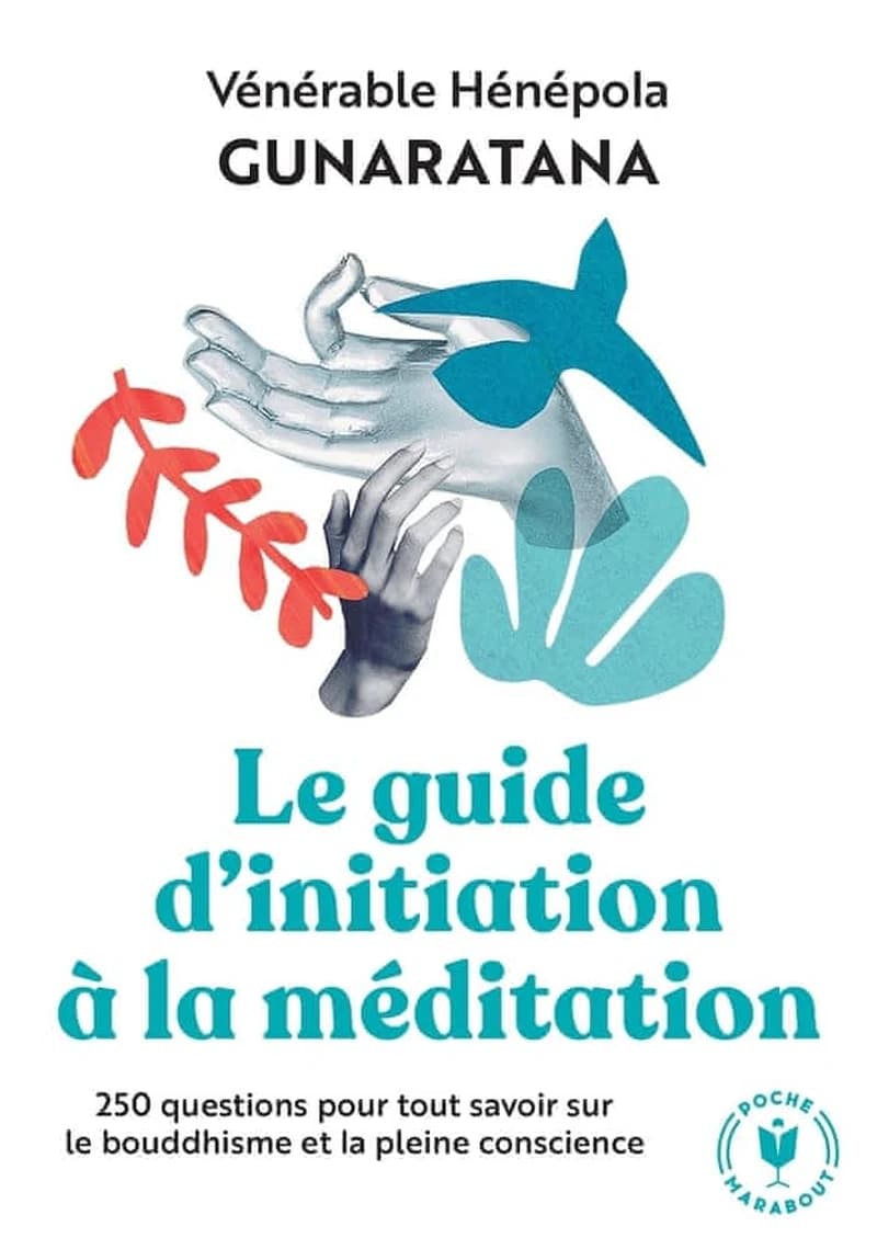 Le guide d'initiation à la méditation : dix pratiques thérapeutiques pour développer la pleine conscience