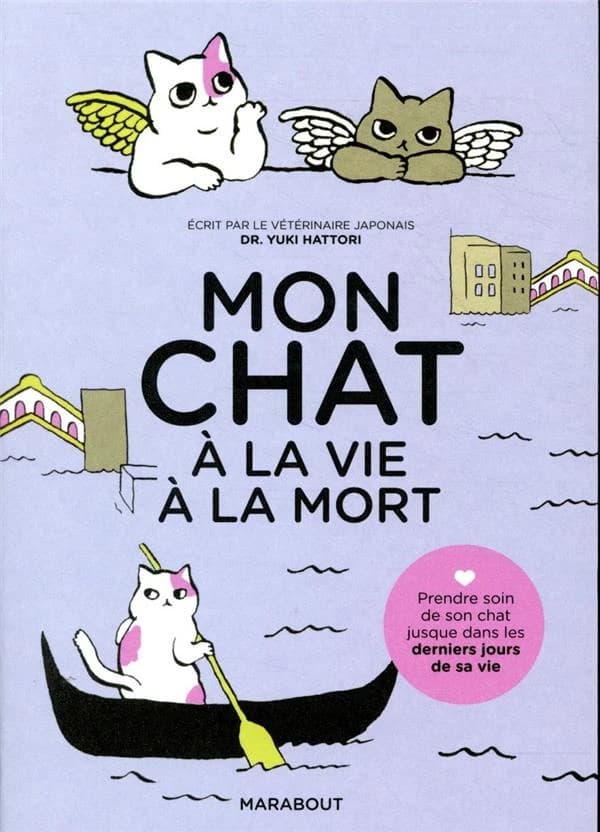 Mon chat, à la vie à la mort : prendre soin de son chat jusque dans les derniers jours de sa vie