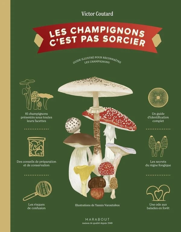 Les champignons, c'est pas sorcier
