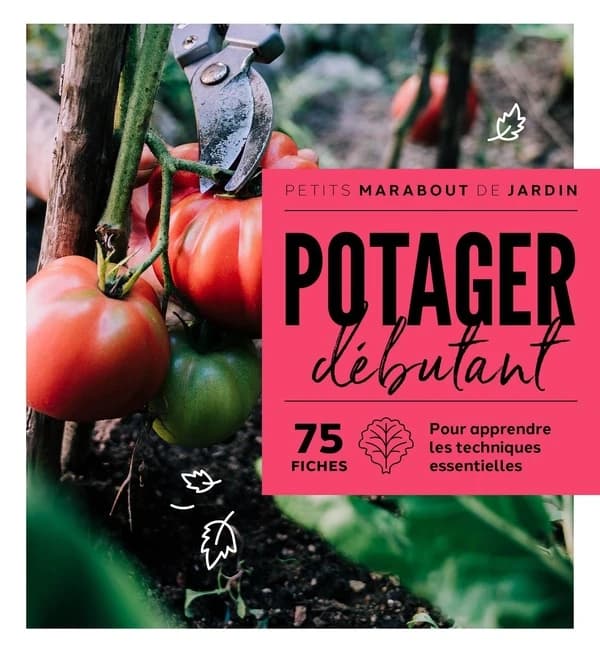 Potager débutant ([Nouvelle éd.]) Richard Bird
