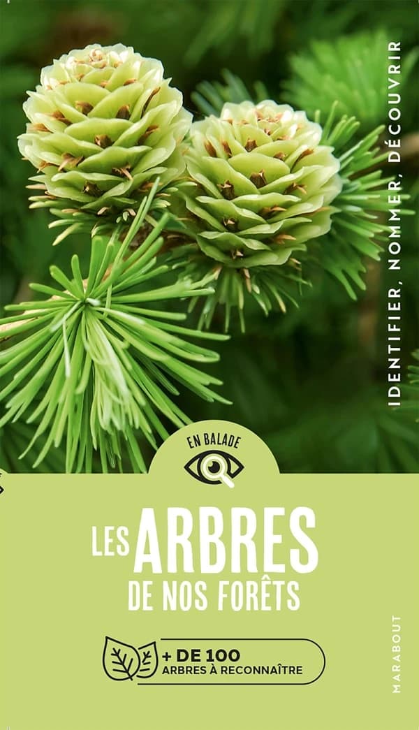 Les arbres de nos forêts : + de 100 espèces d'arbres à reconnaître